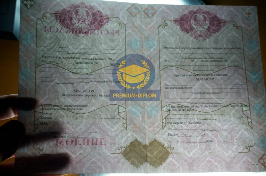 Магистр 2009 - 2026 с отличием (Казахстан) - фото