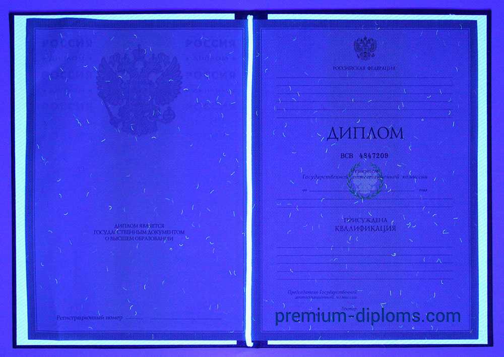 Диплом специалиста 2004-2008 год фото